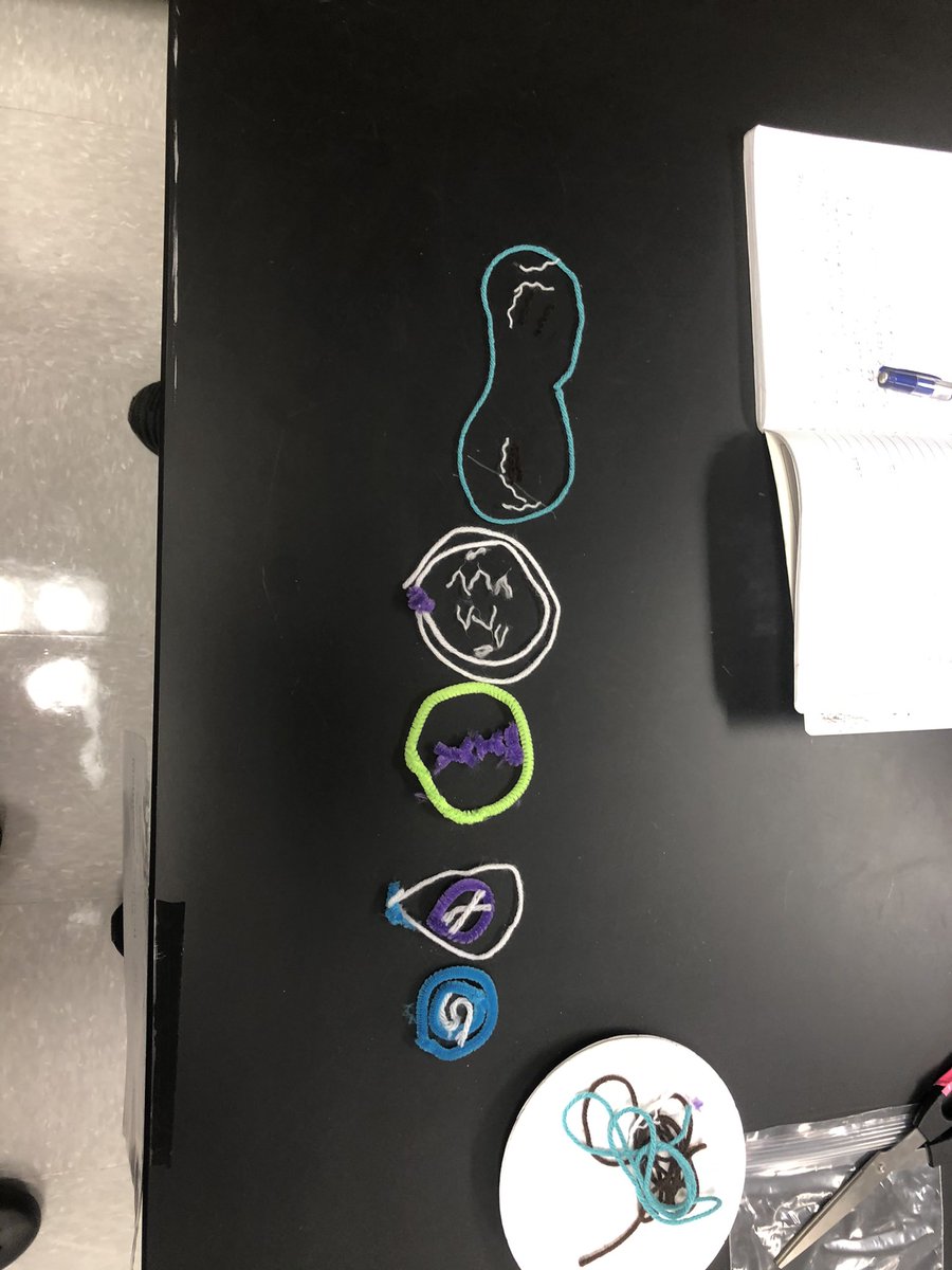 KMS Science 7 tweet media