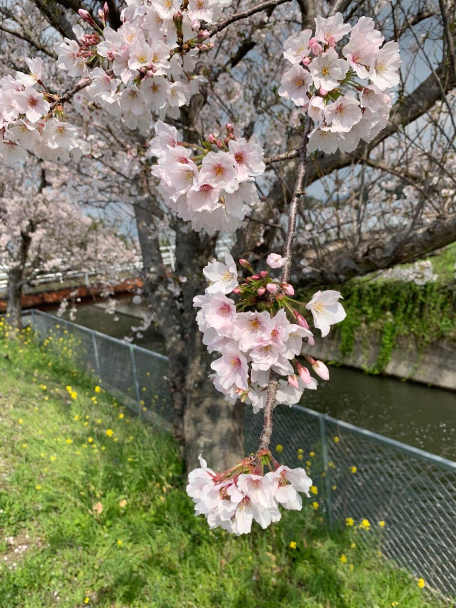 鳥栖朝倉線のtwitterリアルタイム検索結果 Meyou ミーユー