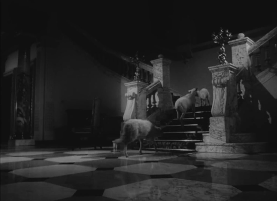 L’Ange exterminateur, Luis Buñuel (1962)