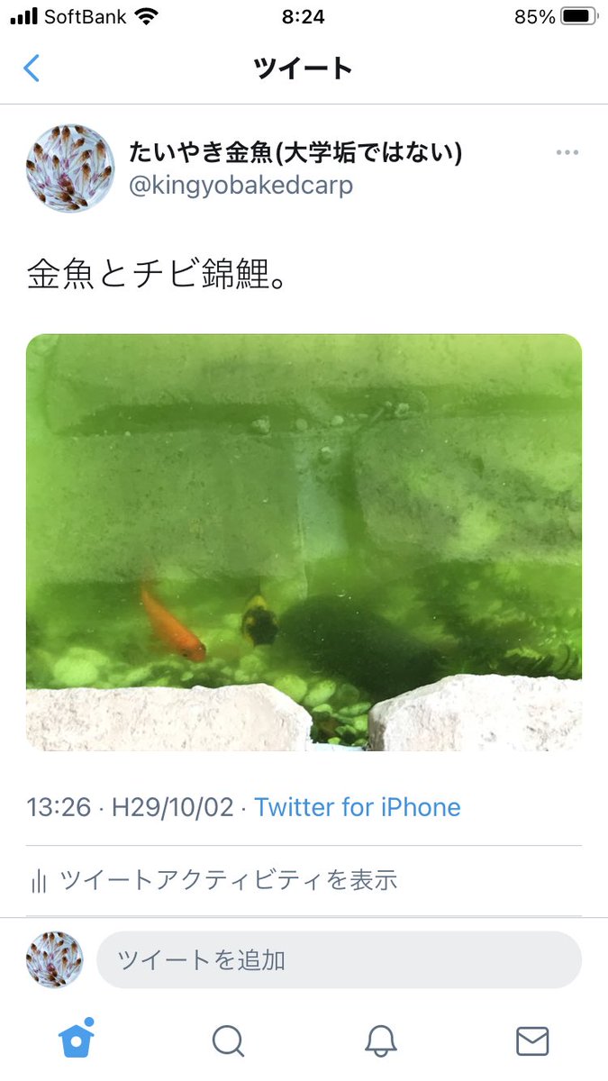 たいやき金魚 大学垢ではない Kingyobakedcarp Twitter