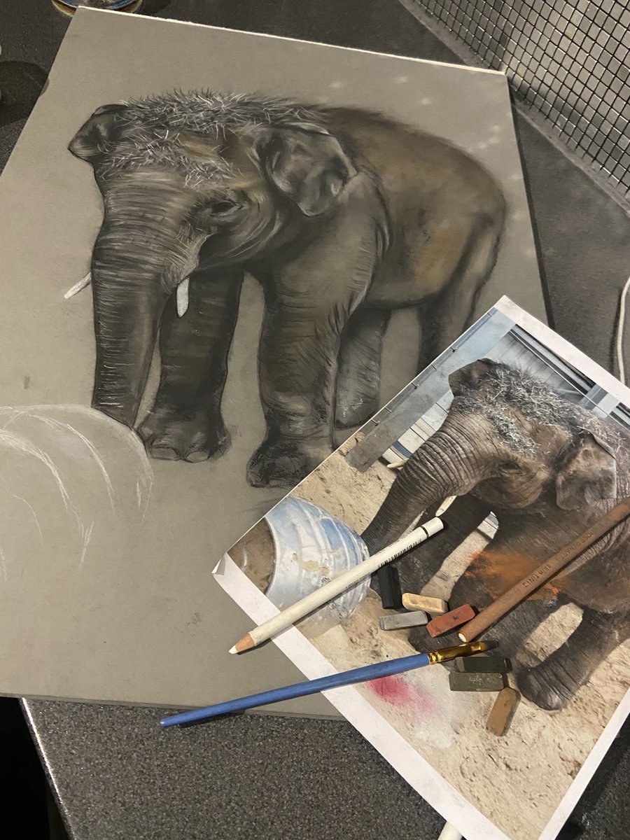 ArtByAbbie1's tweet photo. So close to finishing this! Loving every minute of it! #elephantart #elephantportrait #asianelephant #charcoalart #babyelephant #commissionart https://t.co/QZny3pnWCL