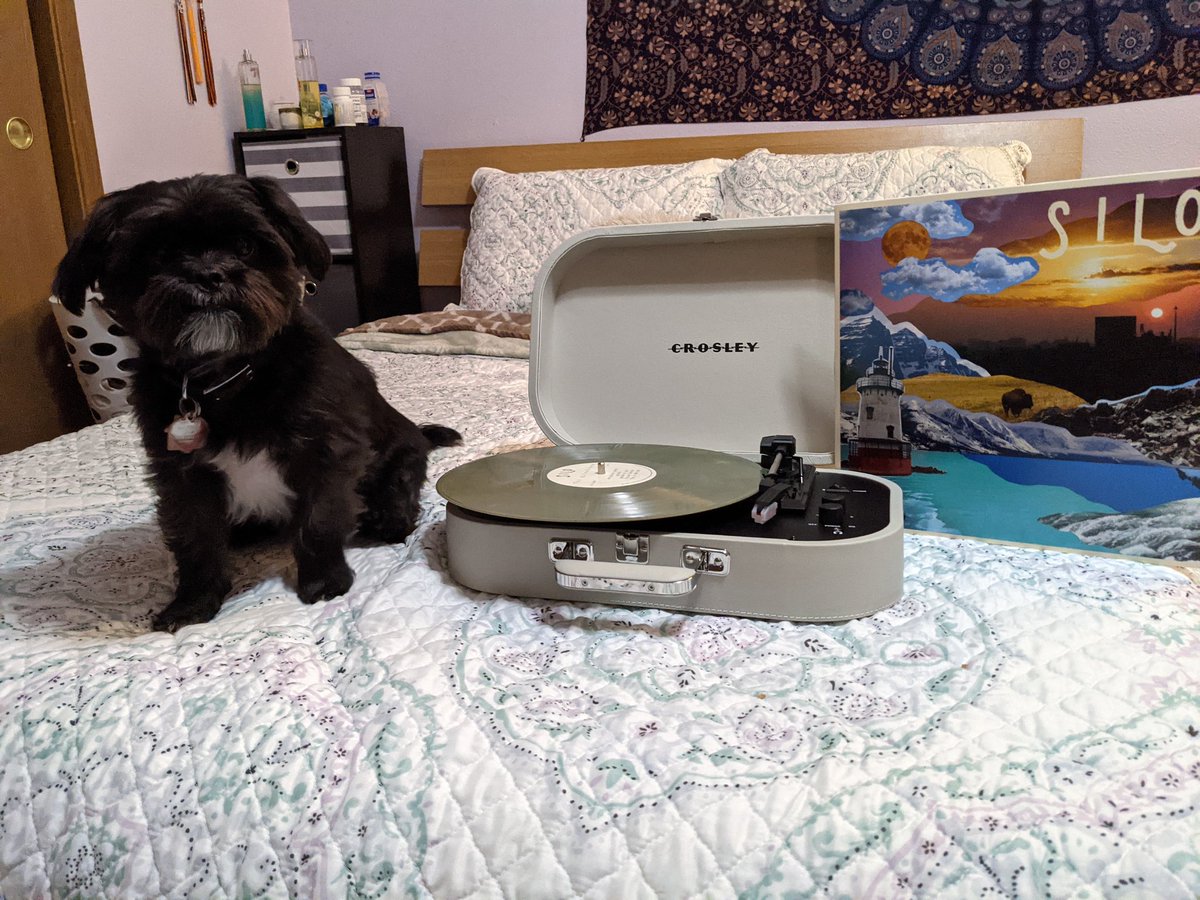 Rebekah_B_'s tweet photo. @altogetherband Charlie and I are jamming out to the vinyl 😍 mine's camo colors 🌱 https://t.co/YQM0aNij0X