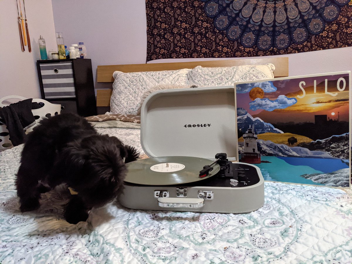 Rebekah_B_'s tweet photo. @altogetherband Charlie and I are jamming out to the vinyl 😍 mine's camo colors 🌱 https://t.co/YQM0aNij0X