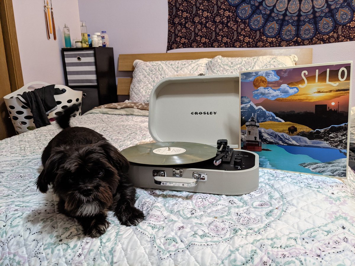 Rebekah_B_'s tweet photo. @altogetherband Charlie and I are jamming out to the vinyl 😍 mine's camo colors 🌱 https://t.co/YQM0aNij0X