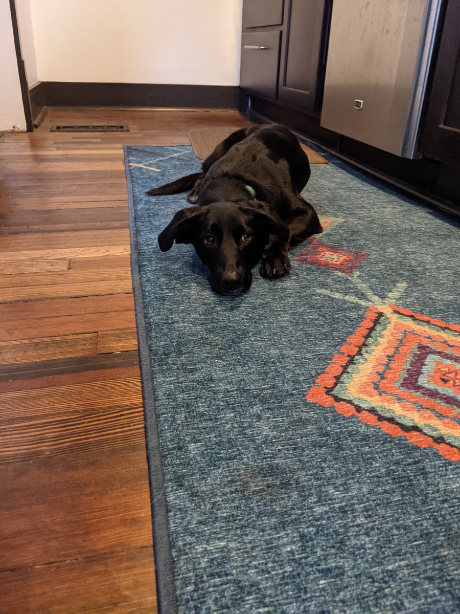 Bryan Mann tweet media