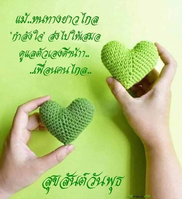 PreechaChimsuw7's tweet photo. อรุณสวัสดิ์คัพพพพ https://t.co/xnshLbWkAV