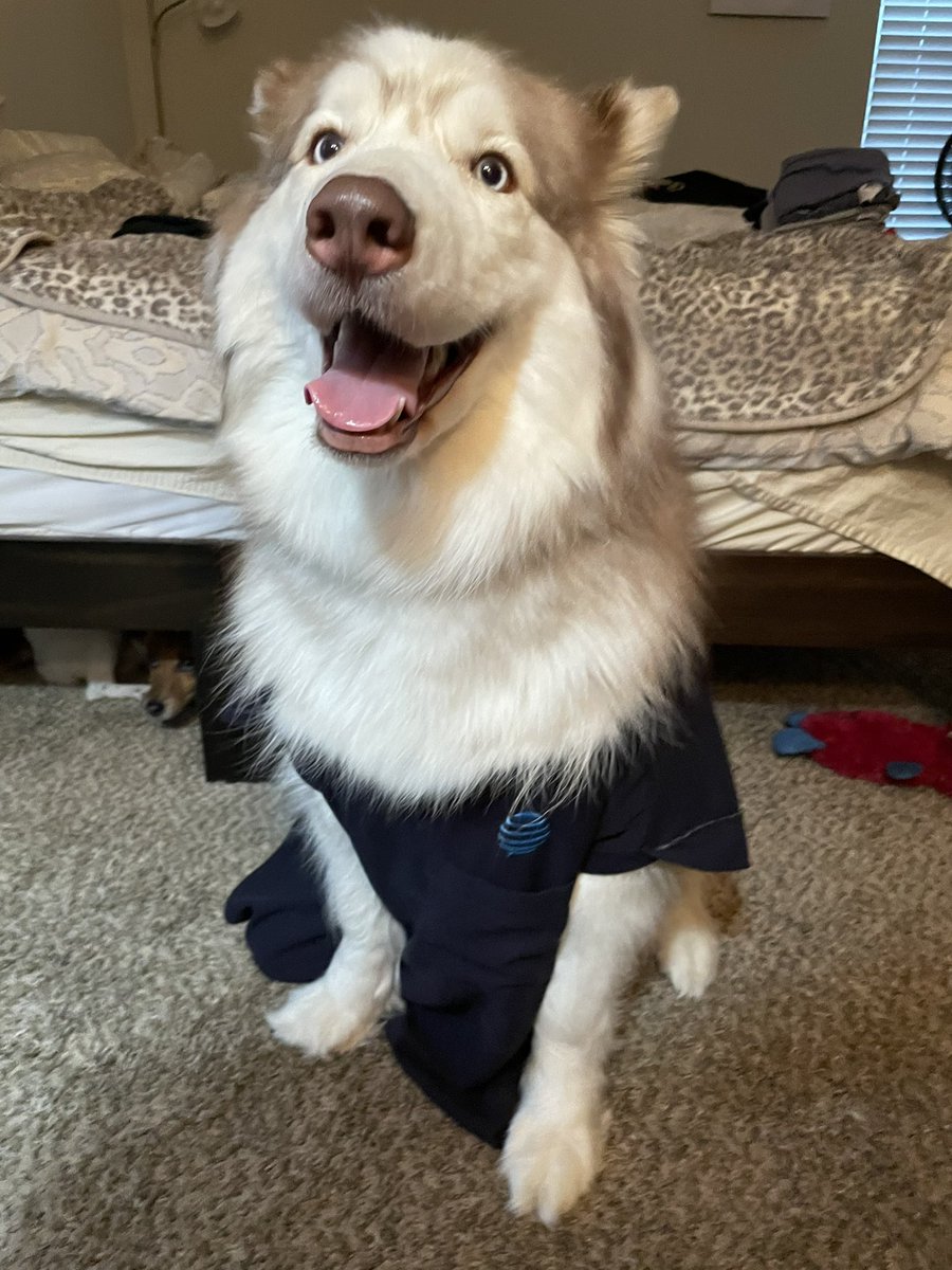 Her Team Colors game is on point. She loves to socialize and has a wonderful personality. Why hasn’t Skye been hired for IHX yet? <a href="/CoachemupGreene/">Clint Greene</a>