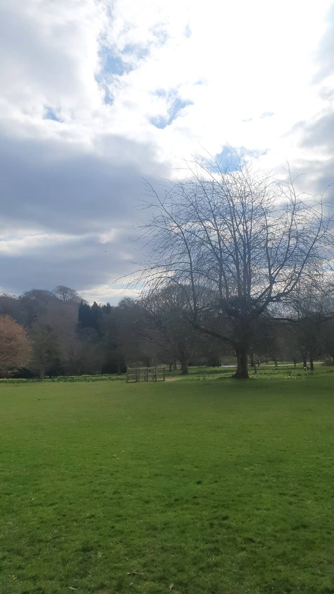 lauracoyle899's tweet photo. Today was needed 🥰 https://t.co/eOS77AUjec