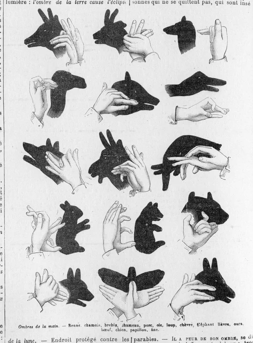Shadow puppets from old books. DO try this at home... 