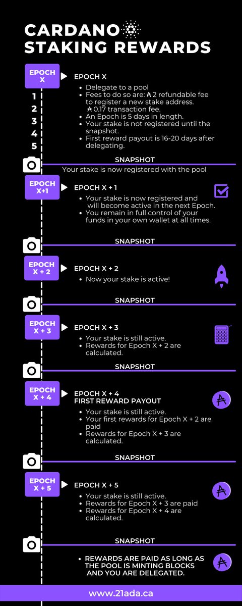 jamisafari's tweet photo. When #Cardano Staking rewards?
You remain in full control of your funds from your Yoroi or Daedalus wallet when delegated.
16-20 days to receive your first rewards as a new delegator.
Earn up to 5.5%apy
Check out this visual guide⬇️
@21ADApool
$ADA https://t.co/BDTEopipFe