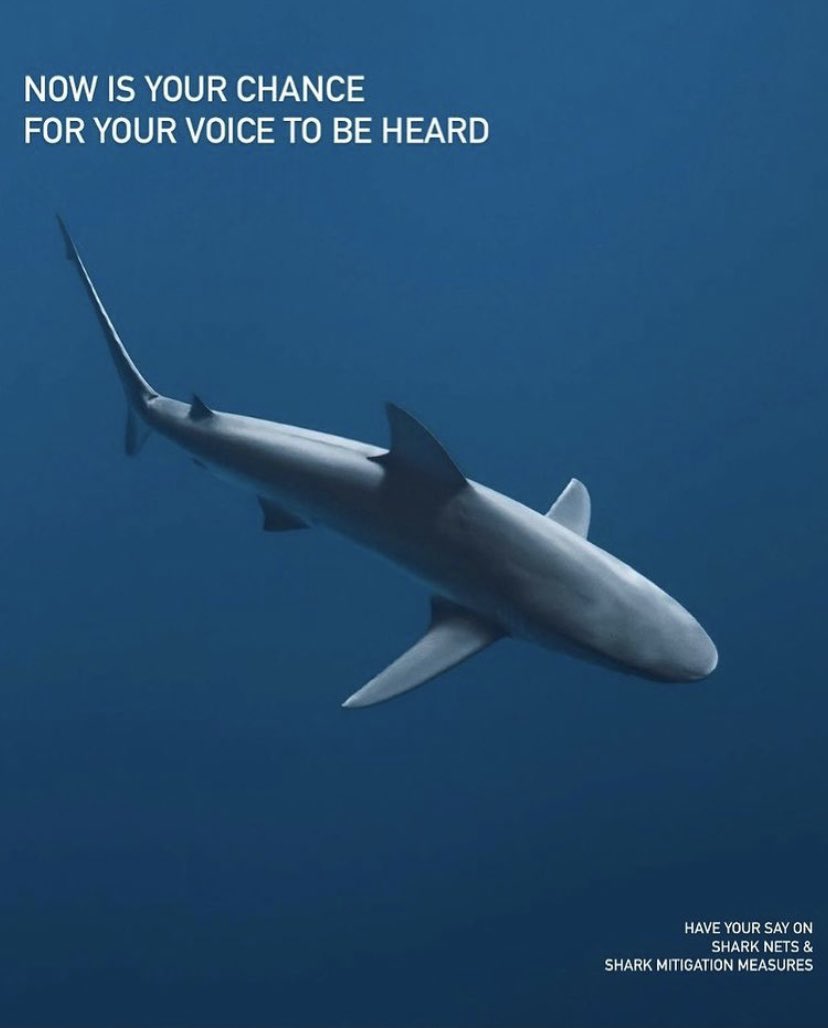 surfingmaps's tweet photo. NSW DPI has completed a 5 year journey of testing &amp; trialling various shark mitigation measures. Let’s modernise our approach to this issue and say NO to shark nets and YES to non-lethal measures. 
Survey closes 28 March 2021
Go to https://t.co/ZPKztOa9UU https://t.co/hLJZtvvc9c
