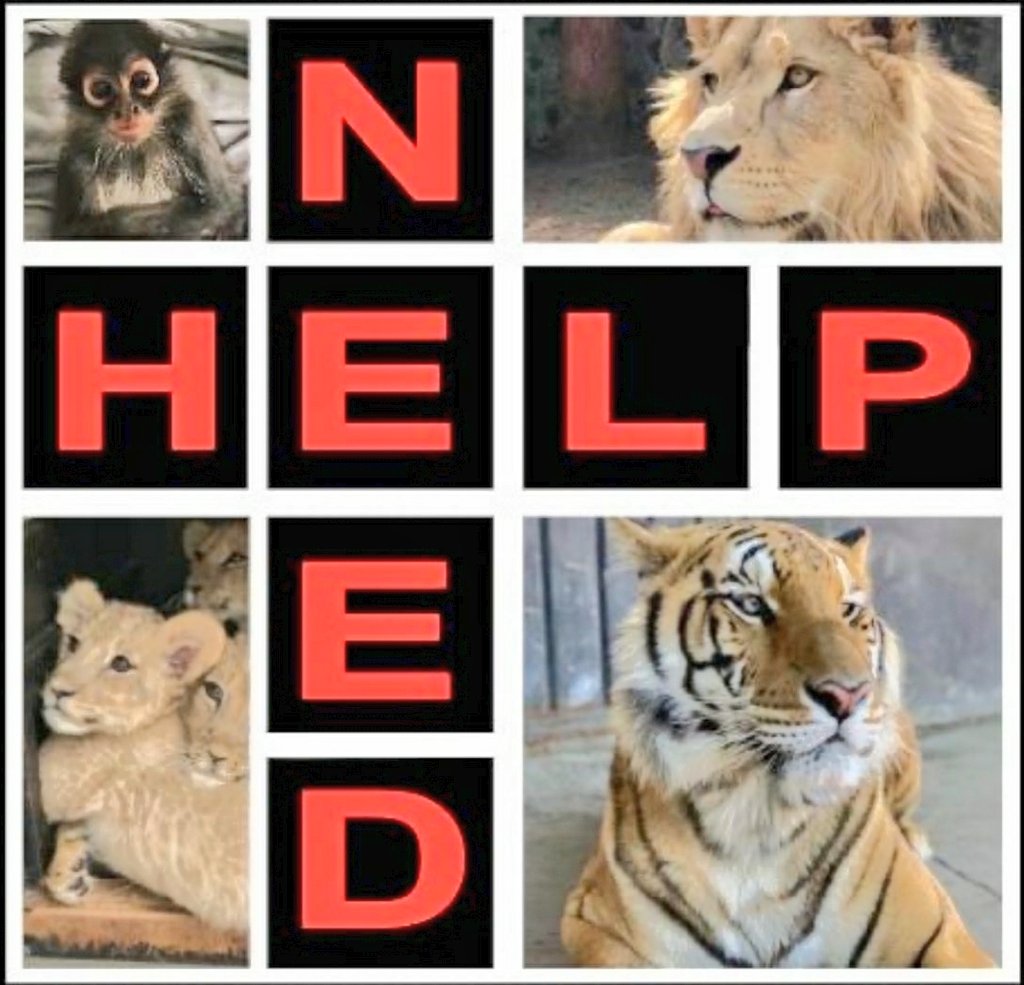 Gee2eR's tweet image. #helpneed #animals #nature