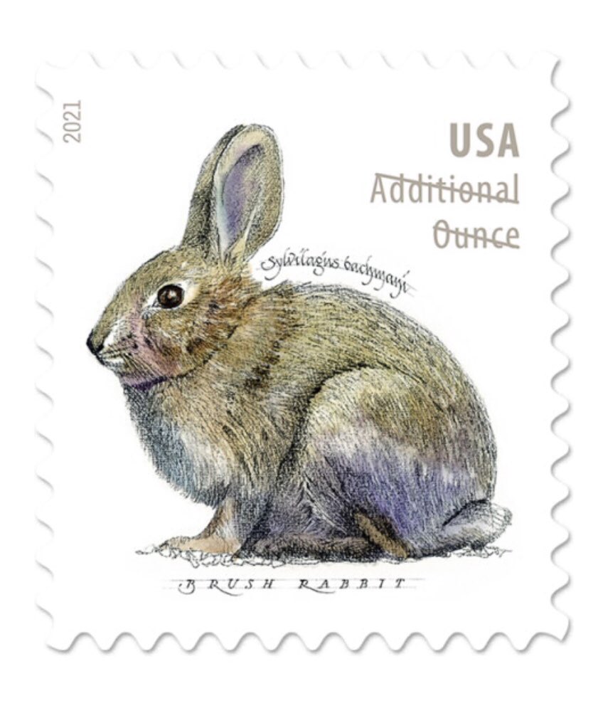 BinkyBunny's tweet image. Rabbitpam here. If you're like me you love all things rabbit. Today I found this - from the US Postal Service! Check it out: store.usps.com/store/product/…
