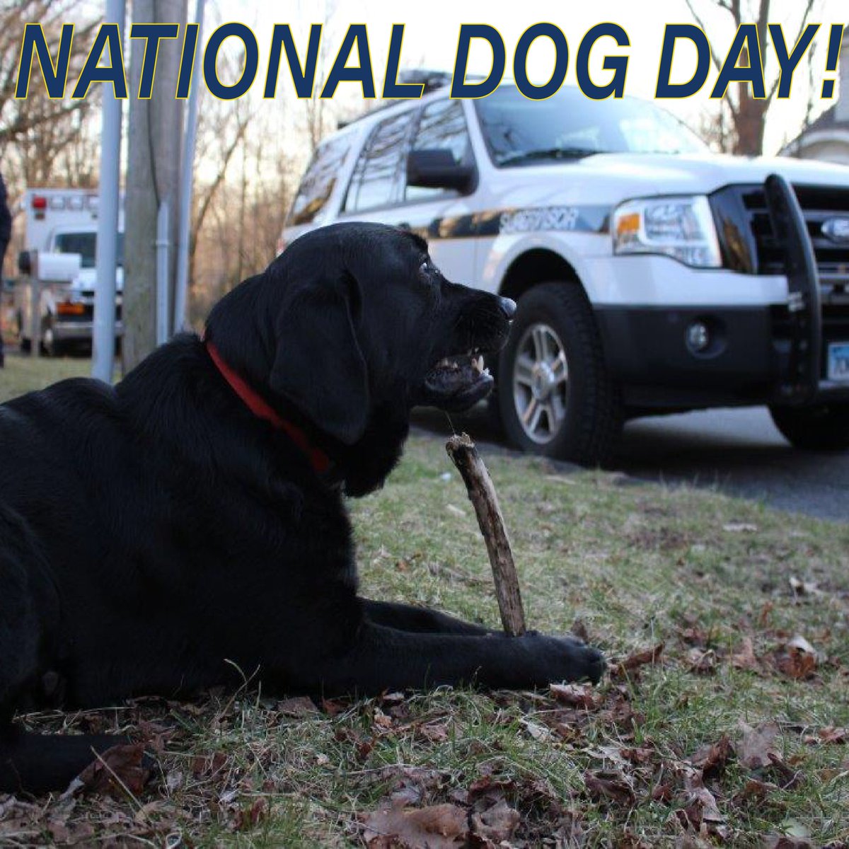 Greenwich EMS (@greenwichems) on Twitter photo 