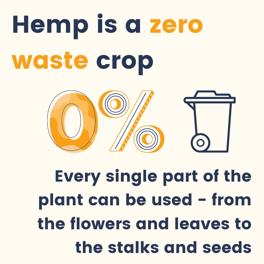 UnaPatches's tweet photo. Hemp is a super crop - it gives us CBD and is great for the environment. Win win! #cbd #environmentallyfriendly https://t.co/MiwcCYLNfl