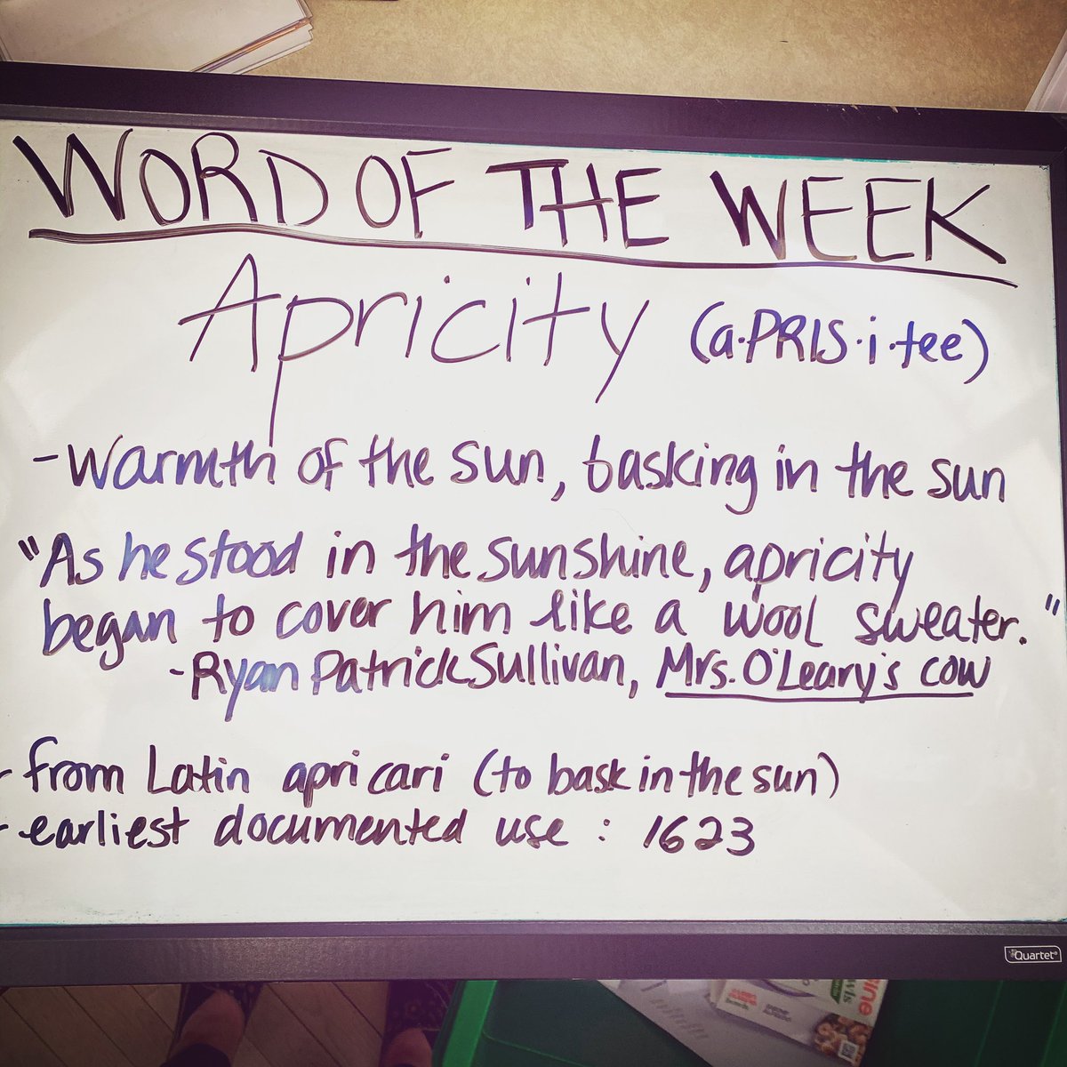 BrandonLibrary's tweet image. Word of the week #WordOfTheWeek #brandonlibrary #gositinthesunshine