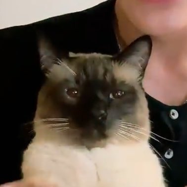 Fz_Fang's tweet image. พิหล่อก็หาว่าพิแอ็ค