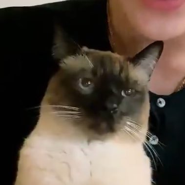 Fz_Fang's tweet image. พิหล่อก็หาว่าพิแอ็ค