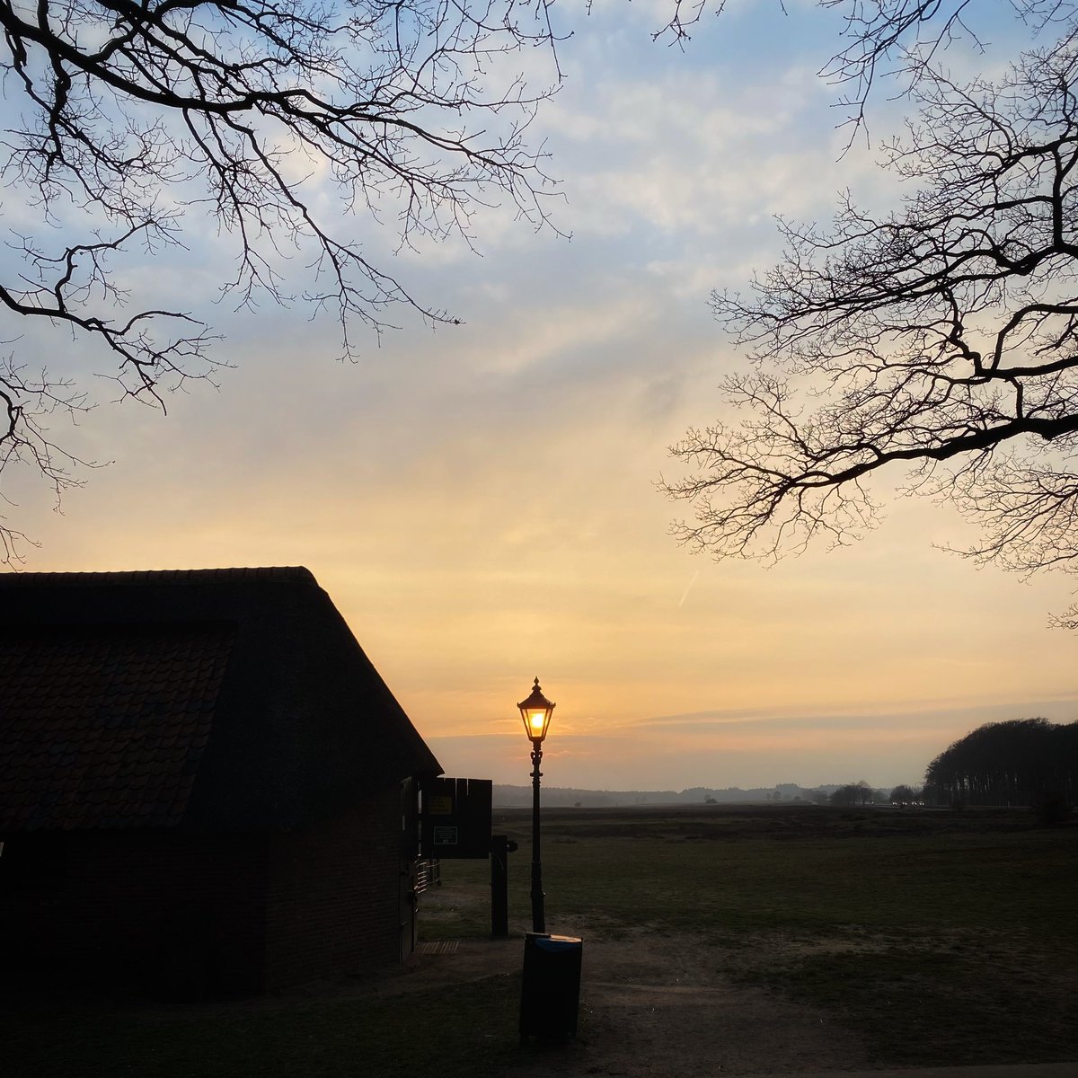 hilda_blanke's tweet photo. Ik mocht weer een dagje helpen in Ede. De lammeren groeien flink en Tommie vermaakt zich ook nog prima met zijn harem in het weiland. @Edese_Schapen #edeseschaapskudde #heideschaap #sprayfo https://t.co/NChlNshz5B