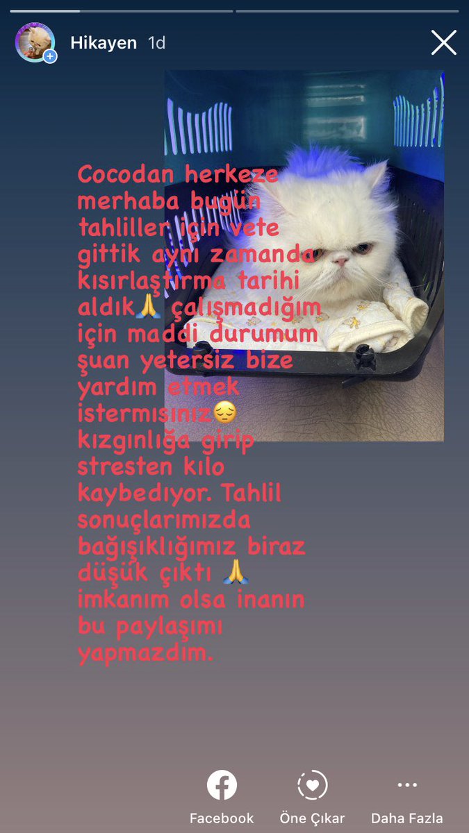 Cocoma son kez inşallah yardım edermısınız lütfen küçük kızım olduğu için işsizim ve zor durumdayım 🙏😥