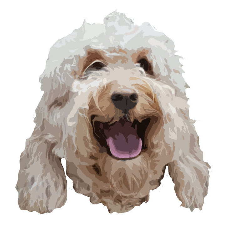 Ruff Tales tweet media