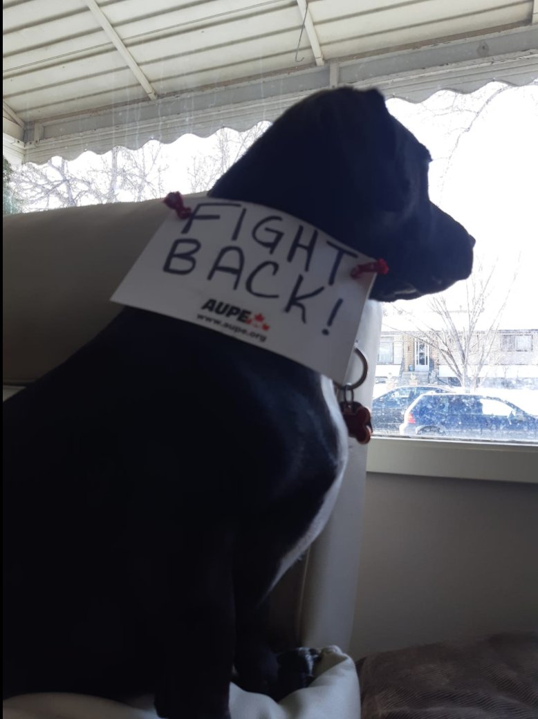 MimiProbably's tweet photo. Boss responds.
#ableg #abpoli #FightBackAB #NationalPuppyDay https://t.co/bHMFyETP8B