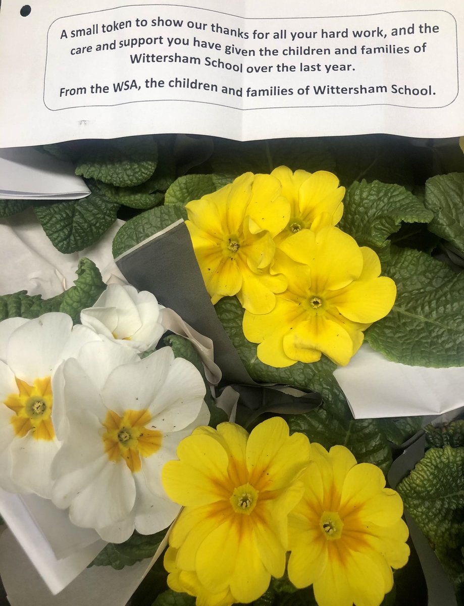 WittershamCEP's tweet photo. Such a lovely gesture from our Wittersham School Association. A pretty plant and message of thanks for staff in school ππΈ#KindnessMatters #Wittersham https://t.co/5sI0VdHWfm