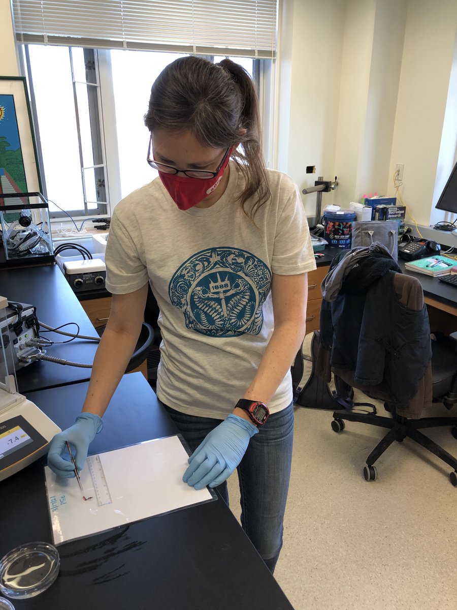 MBLScience's tweet photo. Stock up on MBL Swag. Tomorrow (March 24) is your LAST DAY to get 40% off select items in the MBL Gift Shop for our Vernal Equinox #sale! https://t.co/s1orh5sQoR https://t.co/ZWmAQ9MFmv