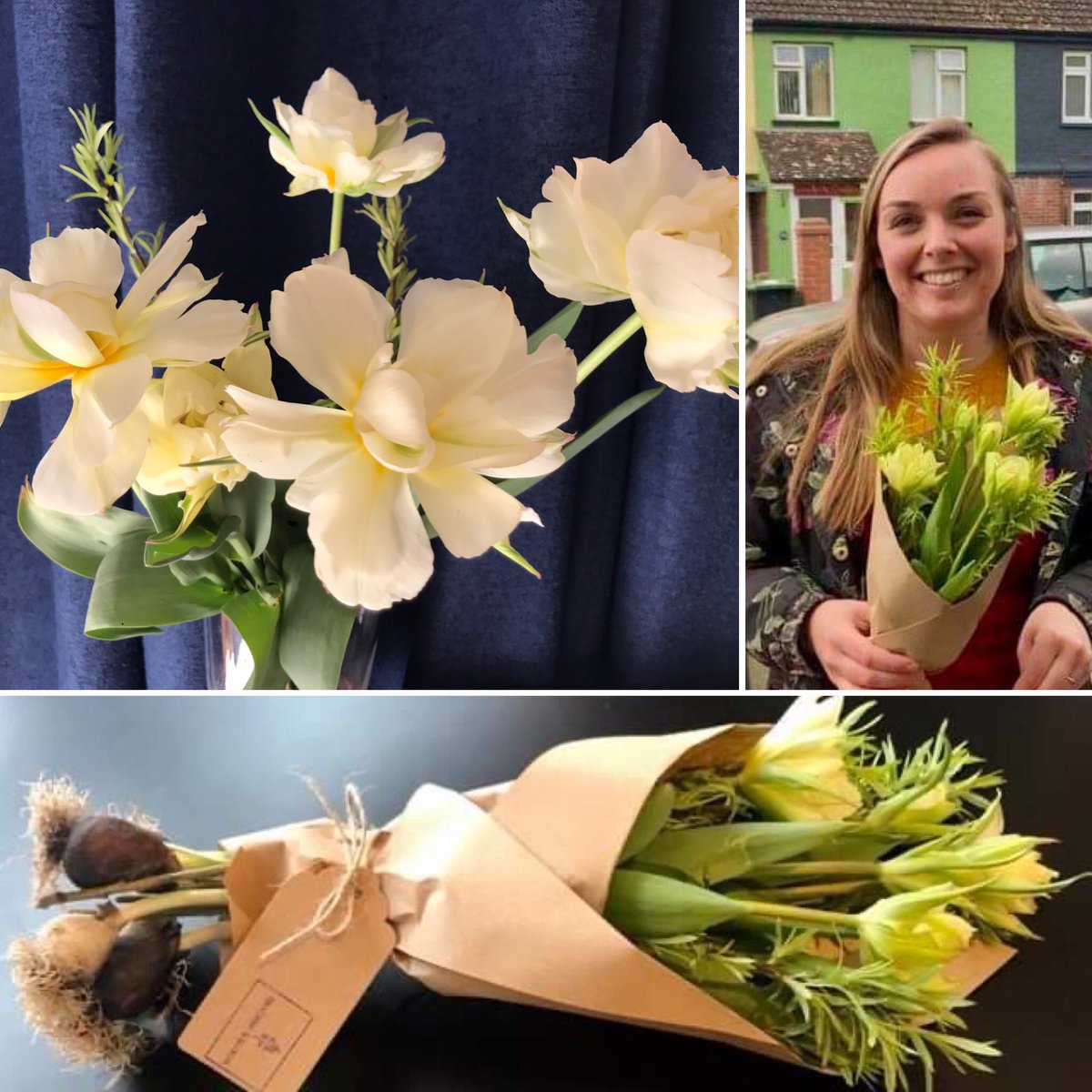 BrackenBloom's tweet photo. Our first Exotic Emperor tulips are available in small posies. 
These guys beat all the other tulips to flower first! More unusual tulip varieties and products coming soon... Delivery local to Lyme Regis and Axminster https://t.co/Y4989bt3FS