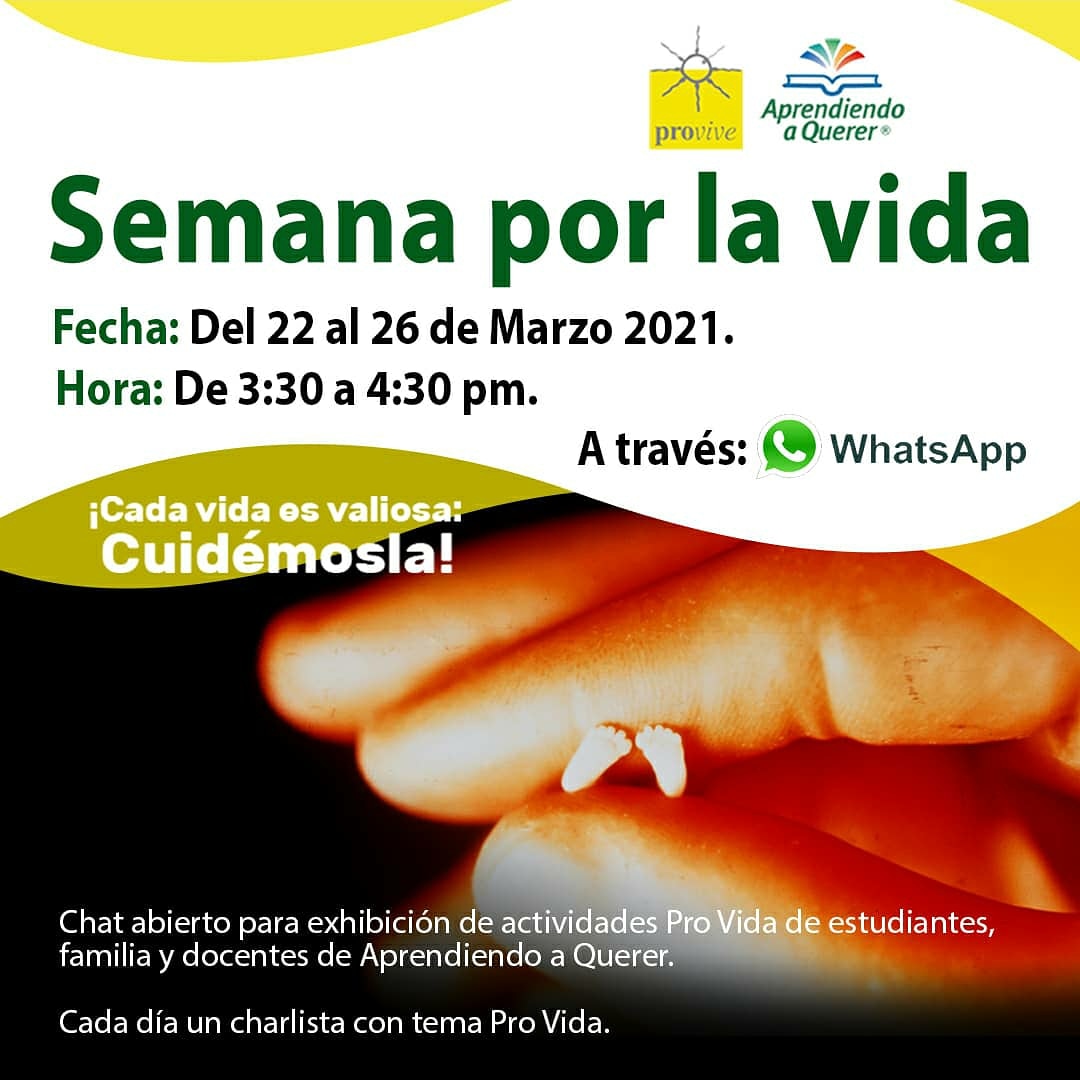 PROVIVE's tweet photo. Este lunes 22 de marzo dimos inicio a la Semana por la VIDA de #Provive y Aprendiendo a Querer donde Estudiantes y Docentes han compartido sus actividades escolares, interpretaciones, aprendizajes y https://t.co/dgL51VClsA