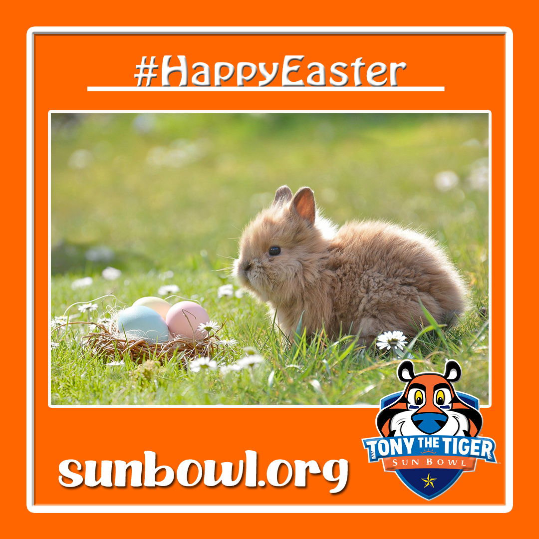 TonyTheTigerSB's tweet photo. Happy Easter! ❤️️🥚🌸

We encourage you to celebrate Easter in a safe manner this year! 
Wash your hands 🙌 and keep your distance!

What was your favorite Easter year?
 Comment down 💬 below or share a picture! 📷

#SBA #Easter #TTSB #3TSB #Sunbowl #ElPaso #EP #ElPasoPride https://t.co/T6yYMCd5x1