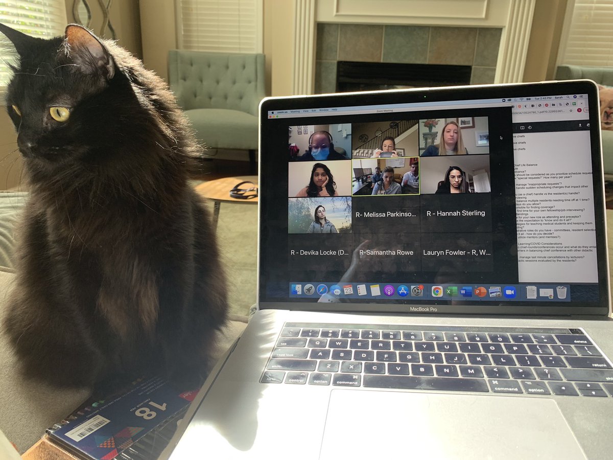 Sarah Hashimi tweet media