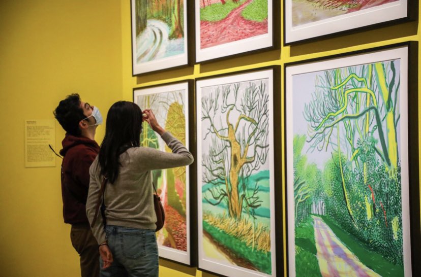 YPHoustonTX's tweet photo. Hockney – Van Gogh: The Joy of Nature Exhibit at The Museum of Fine Arts, Houston

Two visionary artists, separated in time and space, are united by a shared fascination with nature. See the work of David Hockney and Vincent Van Gogh.

On view through June 20, 2021 https://t.co/5HoqpKQN8O