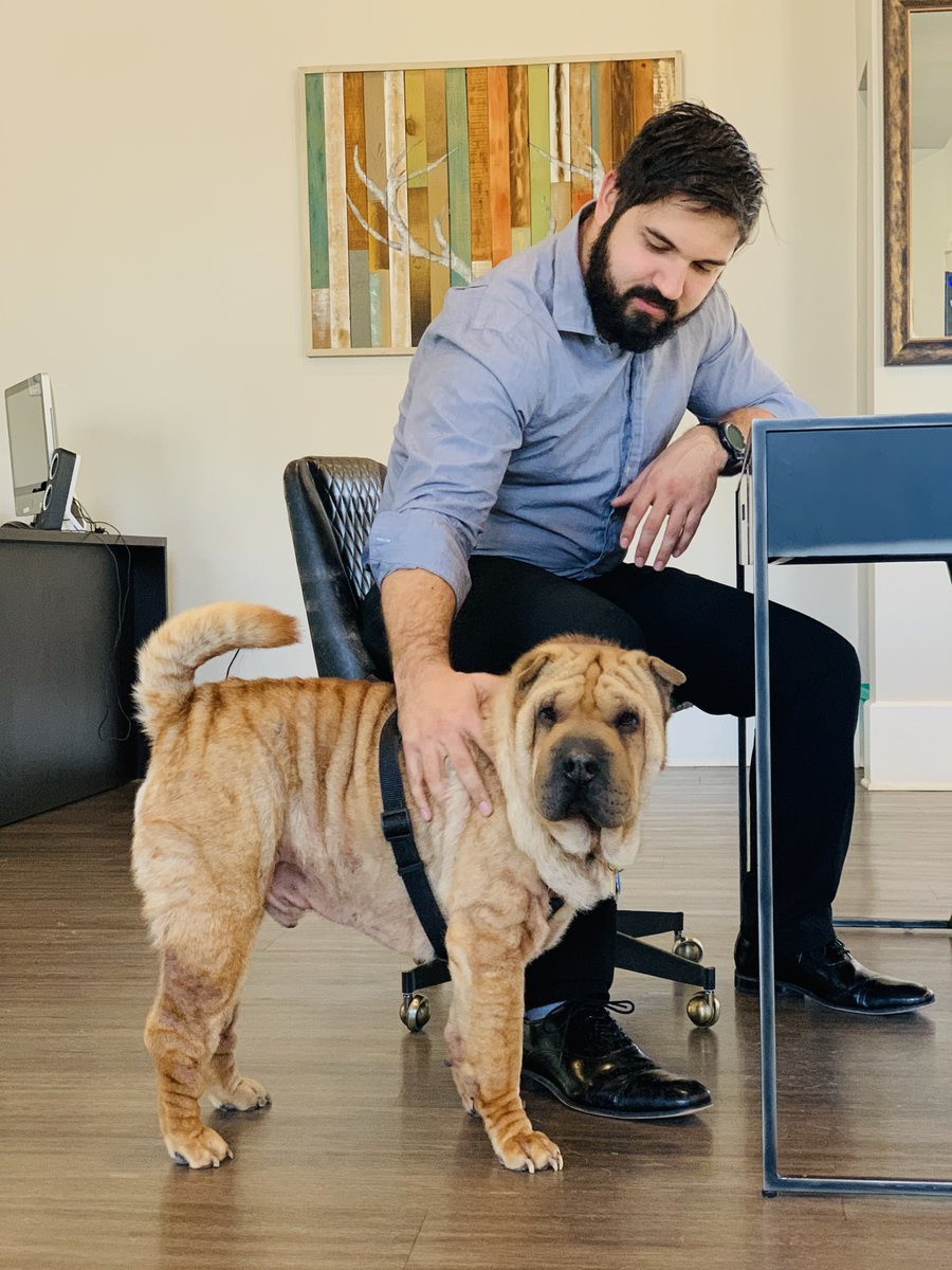 UCDentonApts's tweet photo. It's #NationalPuppyDay
Bring your fur babies by the office for a treat!

#AllAboutU #PetFriendly #MeetSig https://t.co/t5KEaJyZ4T
