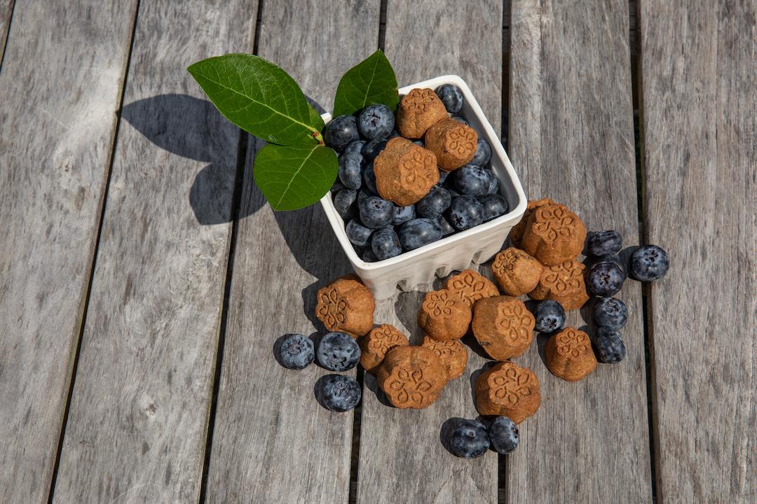 marthacbd's tweet photo. Curious about new Martha Stewart CBD for Pets? We thought you might be! Learn all about your dog's new favorite chews and wellness drops in our latest blog post! https://t.co/BwaORTdiUO https://t.co/XO58rgJePn