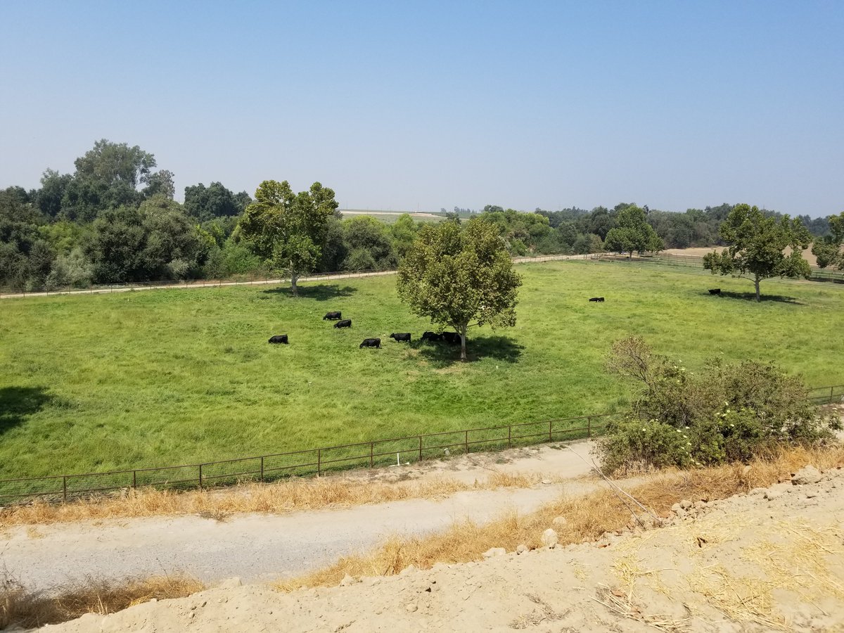 reedleycollege tweet picture