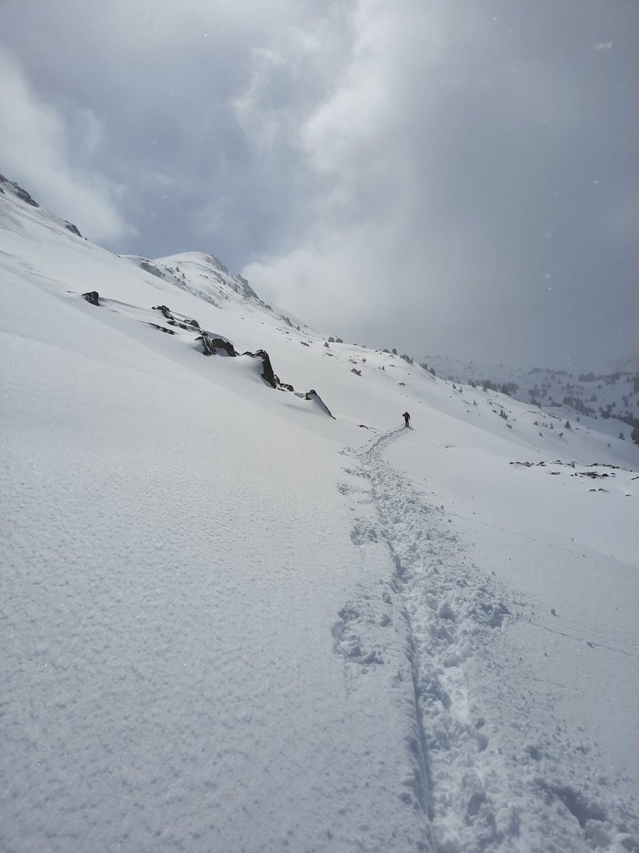 Vincent Thomas tweet media