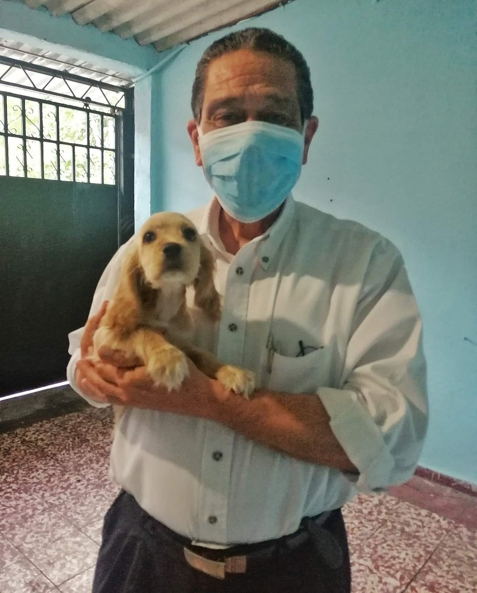 noahmacrame's tweet photo. Mi papá tiene el corazón más noble. Toda su vida me ha enseñado a trabajar por la familia. Él trabaja en una óptica que subsiste de campañas visuales. Por la pandemia es difícil conseguirlas. Si me ayudan a compartir o saben de empresas interesadas se los agradecería en el alma💛 https://t.co/rO72K1zeKm