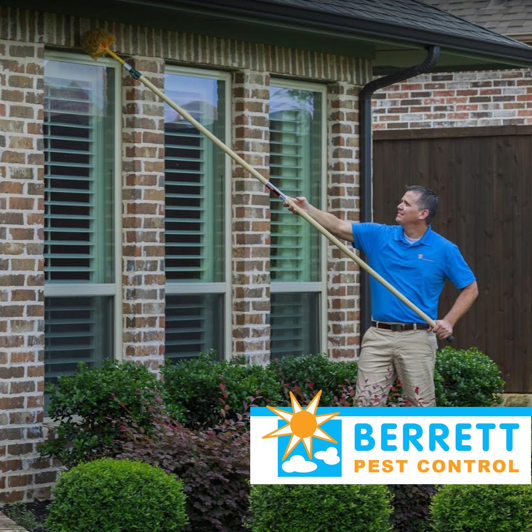 BestPestDallas's tweet photo. -------Berrett Pest Control Dallas TX-----

Berrett Pest Control from $99. Serving Dallas and Fort Worth TX Call 214-242-4800 or Visit: https://t.co/KS4sVgKdcu

#dfwpestcontrol #dallaspestcontrol https://t.co/IF2bCuWIa6