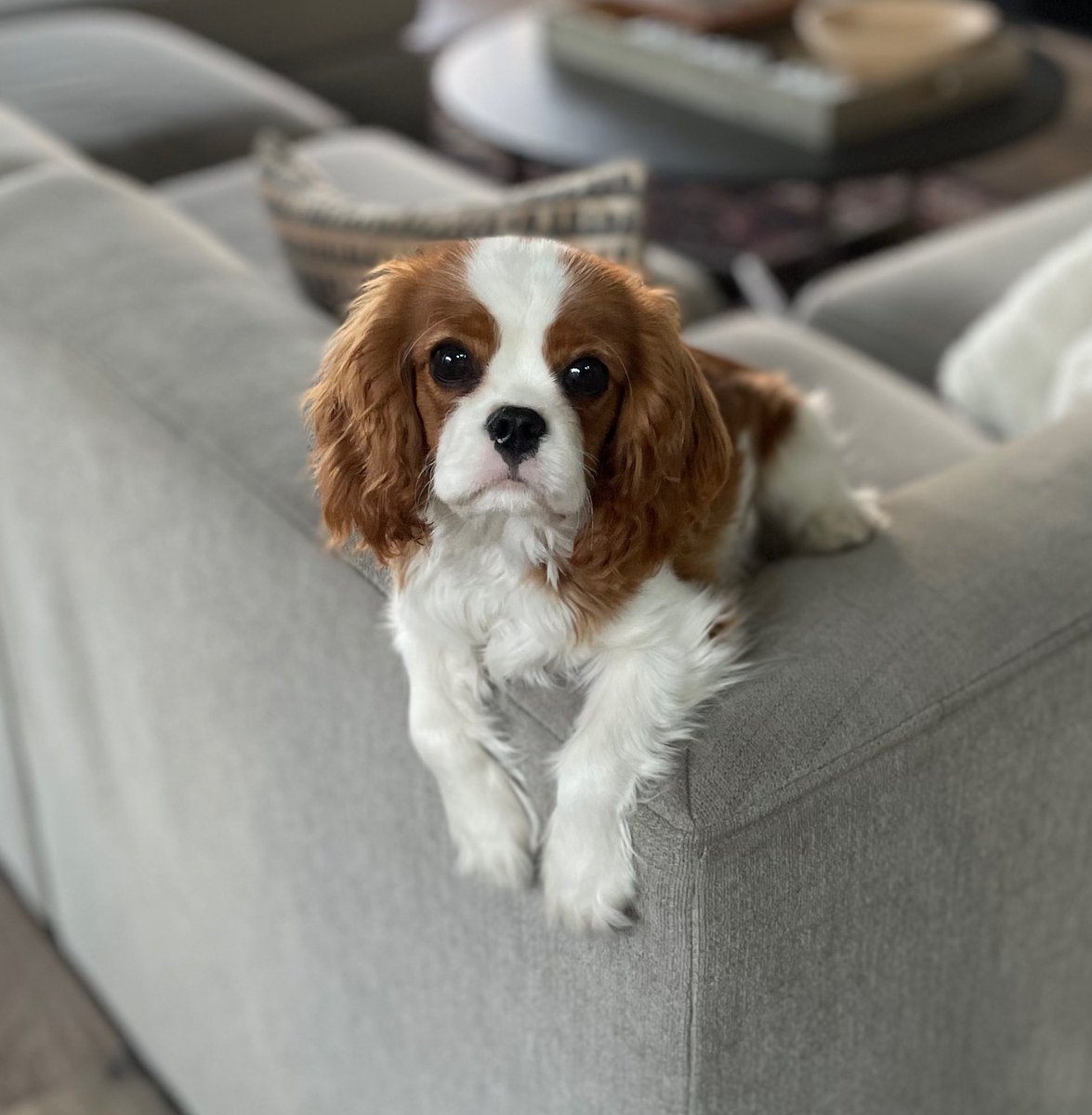 Eric Ball tweet media