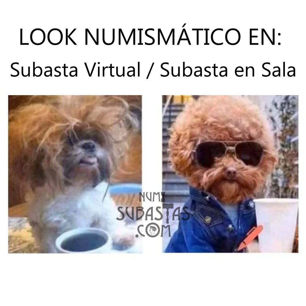 numisubastas's tweet photo. 👀 ¿Quiénes serán los valientes capaces de admitir esta verdad?

...

#MemeNumismatico #Numismatica #Coleccionismo #MemesDaily #MemePage #Meme #InstaMemes #DarkMeme #Rofl #MemeGod #MemeLife #MemesDay #LegendaryMemes #Like4Like #FollowMe #PicOfTheDay #Follow https://t.co/7V97HkyC6y