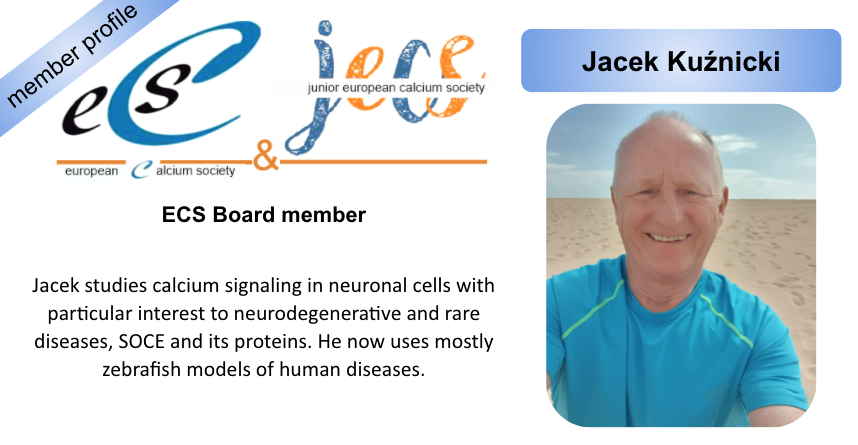 EuroCalcium's tweet photo. Introducing ECS board member Jacek Kuźnicki. #ECSmemberprofile #ECSboard
For more information about Jacek’s research at International Institute of Molecular and Cell Biology in Warsaw, Poland (@IIMCB_Poland): https://t.co/FzDNN6ySCM https://t.co/KSxuMvVwkT