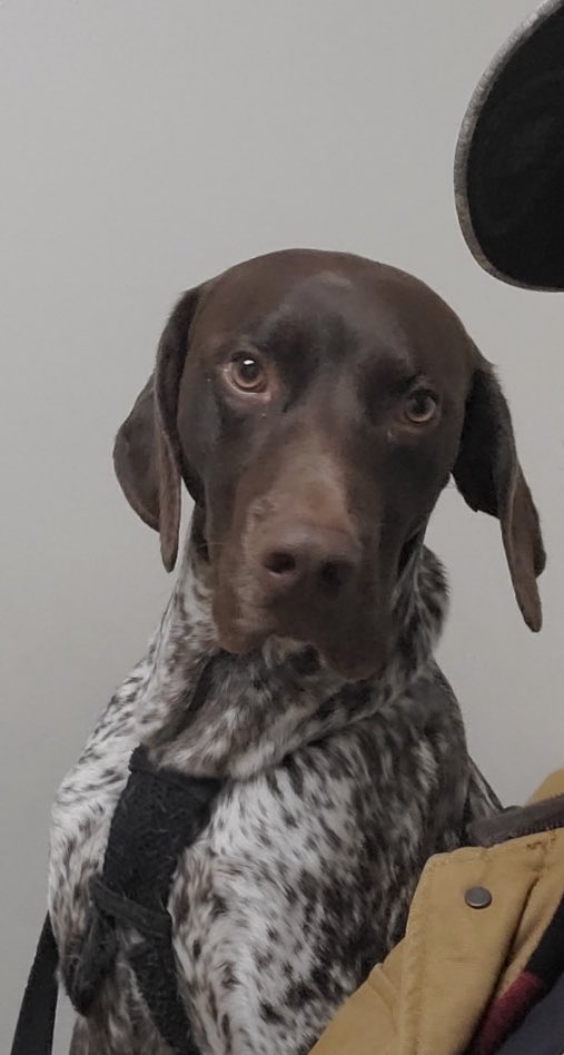 Danielle tweet media