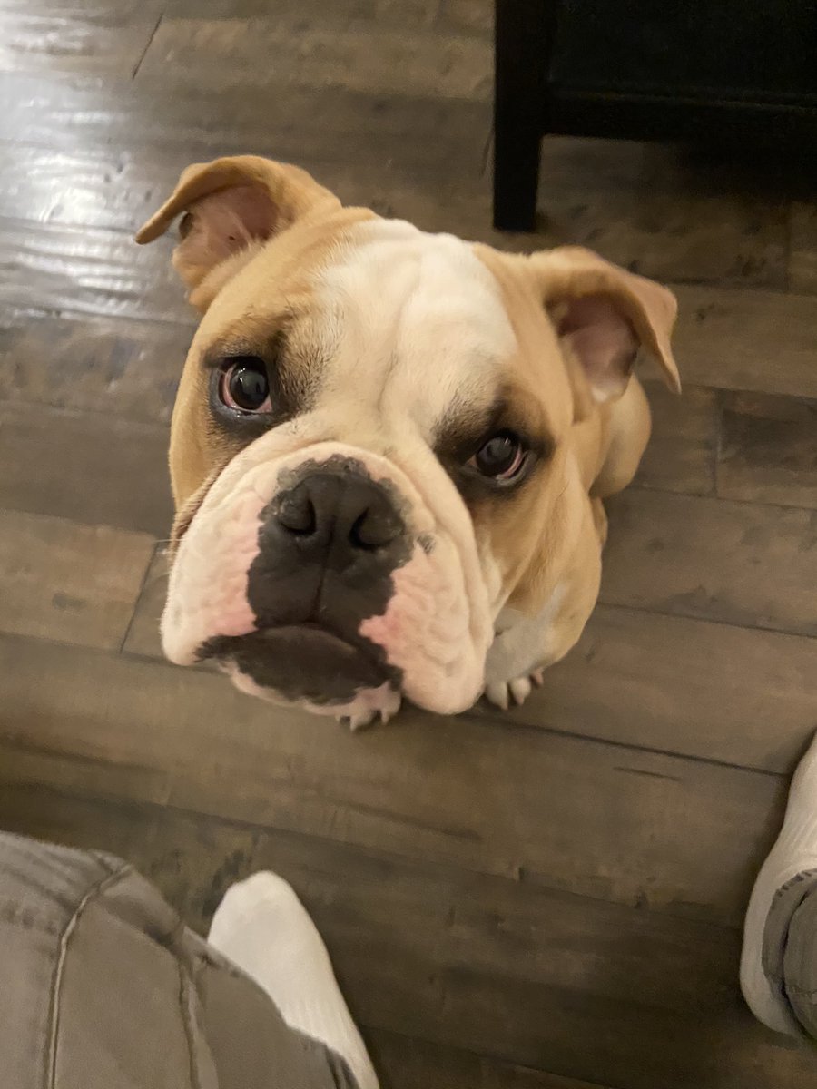 Kevin Sioco tweet media