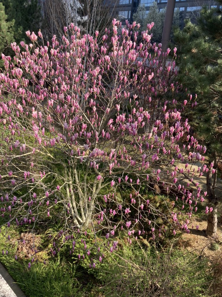 Camille El Chidiac tweet media