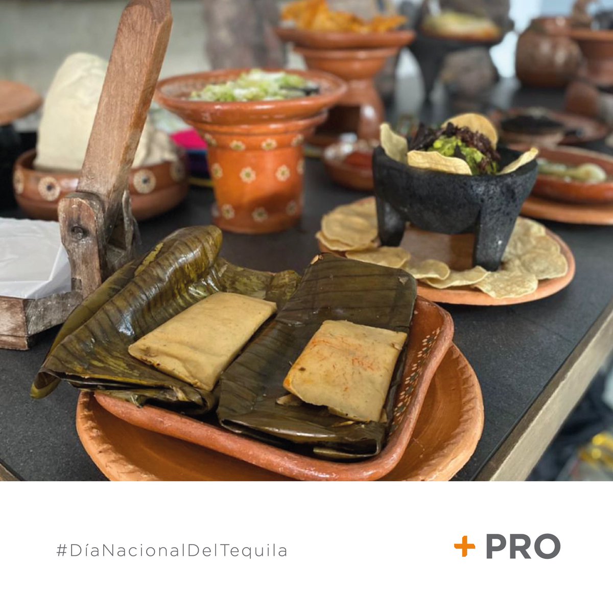 Contactopro's tweet photo. ¡Uno más de nuestros eventos!
@diadeltequilamx. [Un programa de 2 días lleno de pláticas, catas, mixología, gastronomía y paisajes agaveros]. ¡Felicidades por esta gran celebración! https://t.co/JHCHvlcKHK