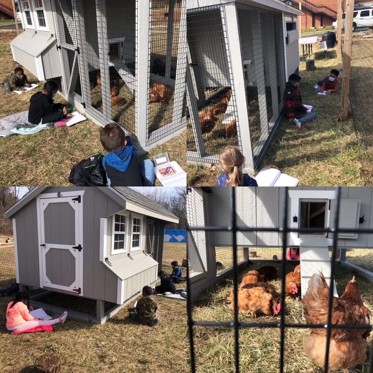 We loved meeting, observing, and even giving yummy treats to our new feathered friends! We’re so happy that they’re with us and we can help give them a safe, healthy, and happy home! We can’t wait to learn so much from our #RescueChickens <a href="/lori_widney/">Lori Widney</a> <a href="/WatershedPCS/">Watershed PCS</a>