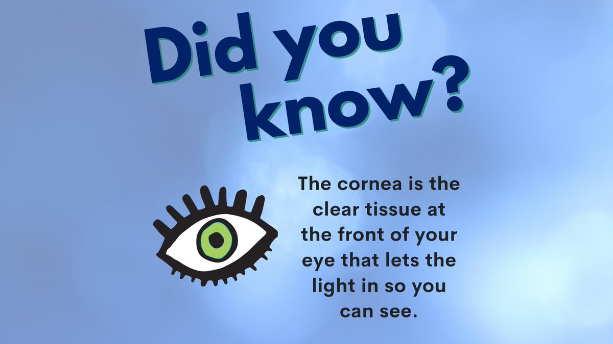 NEDonorServices's tweet photo. Did you know that the cornea is a clear tissue at the front of your eye that lets the light in so you can see? Corneal tissue donors restore sight for patients in need! Register to be a life-healing tissue donor at https://t.co/SEdmiBOupZ. #DonateLife #TissueTuesday https://t.co/UkEkWhvced
