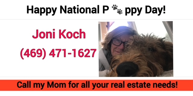 JoniWorks4U's tweet photo. Happy National Puppy Day 🐾

Are you thinking about selling or buying a new home?

Call my Mom, she will help you find what you are looking for.

Joni Koch (my Mom)
(469) 471-1627
JoniKochRealEstate@gmail.com
https://t.co/g90fduPuVs

#flowermoundtx
#buyorsellyourhomewithJoni https://t.co/RBzRlWEmZM