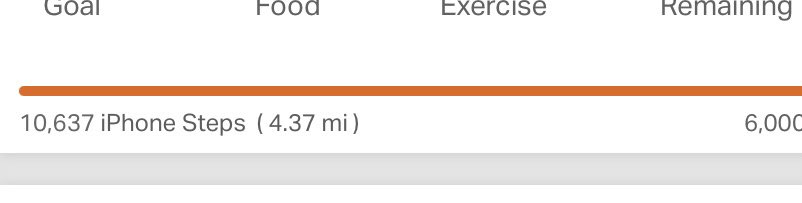papaver's tweet photo. Today’s #forwardmarch total: 4.4 miles walked making a total of 100.3 miles altogether. 49.7 to go over the next 8 days #progress #endinsight #goingtobeclose https://t.co/7fp2XPXDgk